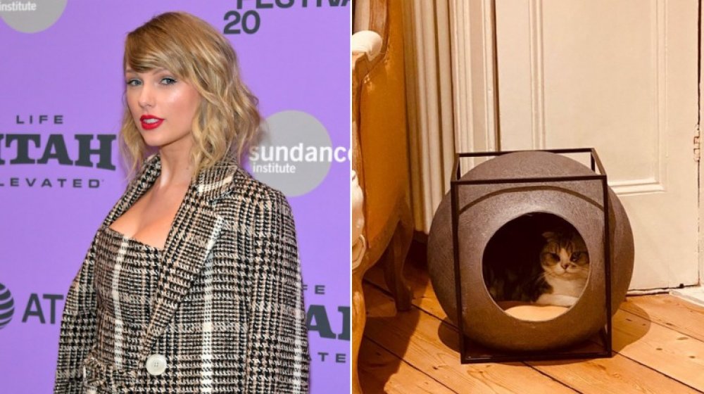 Taylor Swift and Meredith