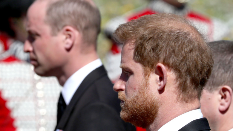 Prince Harry and Prince William on Buckingham Palace balcony