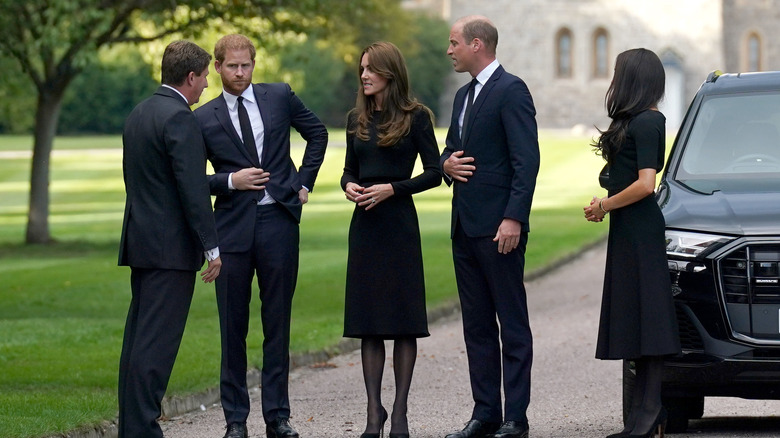 The Wales and Sussexes together