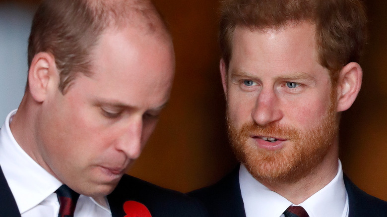 Prince Harry and Prince William Royal 