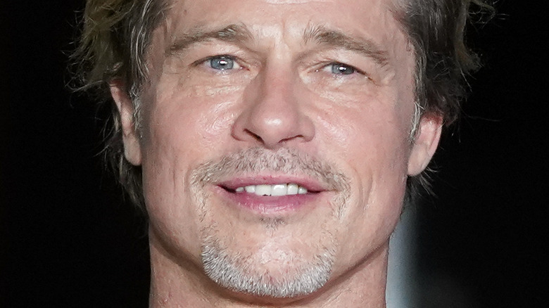 Brad Pitt posing