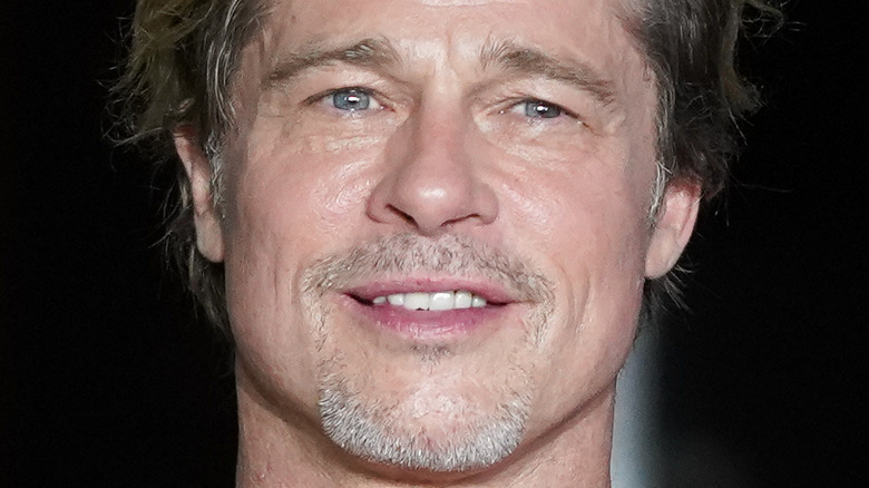 Brad Pitt posing