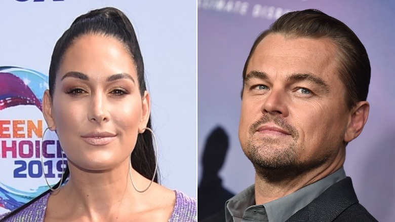 Brie Bella and Leonardo DiCaprio