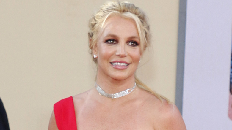 Britney Spears Completely Lashes Out About All The Conservatorship ...