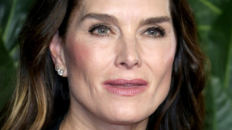 Brooke Shields wearing earrings