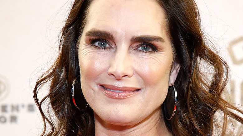 Brooke Shields, 2020 red carpet photo, brown hair down, wearing makeup, black dress