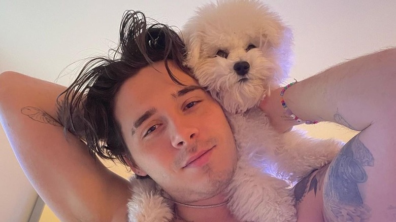 Brookly Beckham with dog on shoulders