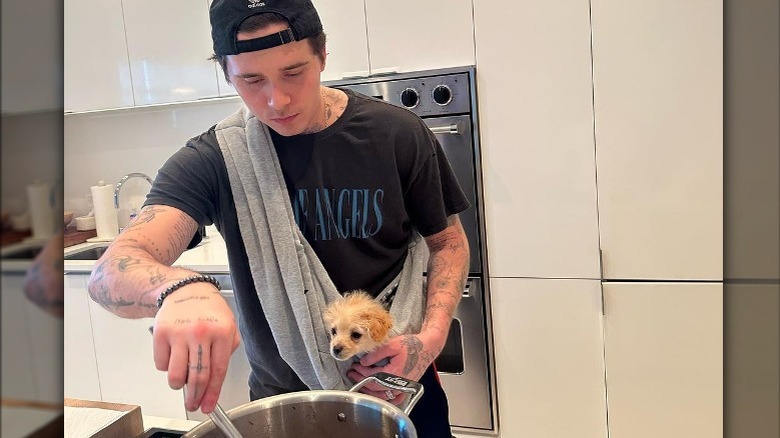 Brooklyn Beckham cooking with dog in sling