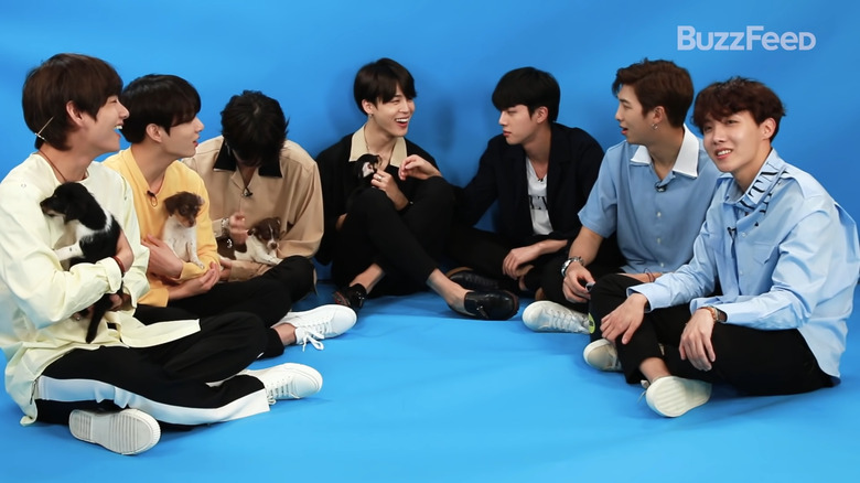 BTS playing with puppies