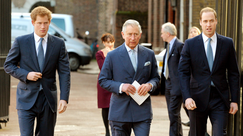 Prince Harry, Prince William, and King Charles walking