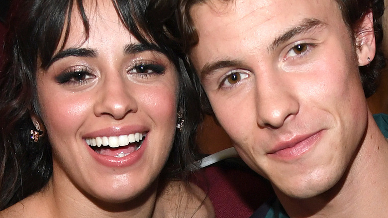 Camila Cabello and Shawn Mendes at the American Music Awards