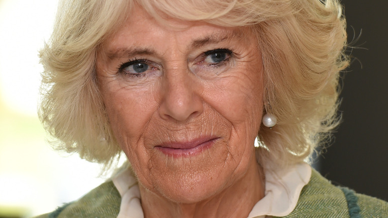 Camilla Parker-Bowles posing