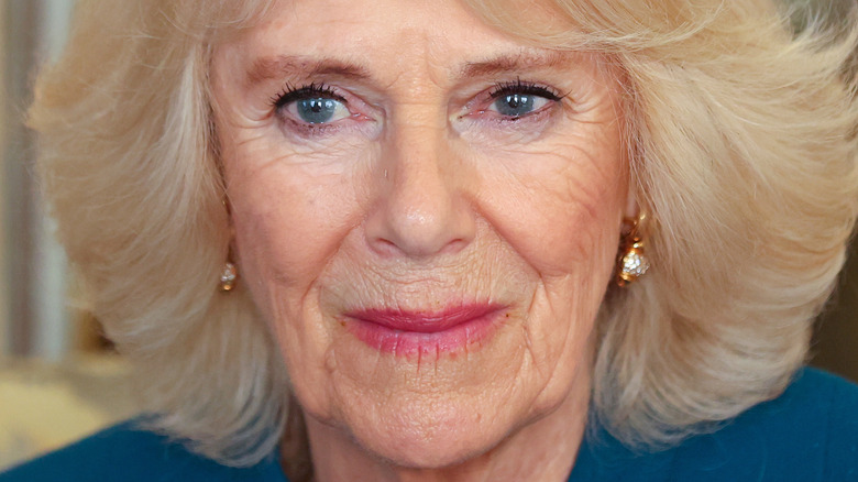 Camilla Parker Bowles smiles