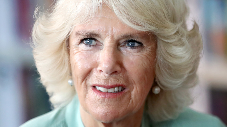 Camilla Parker Bowles posing 