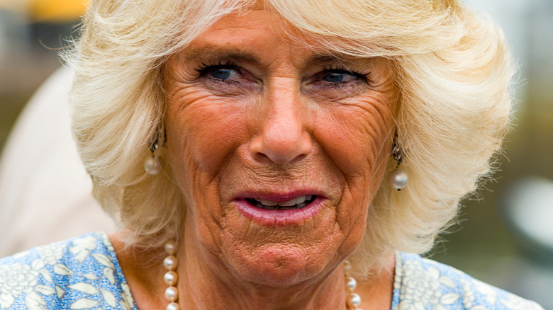 Camilla Parker Bowles feathered hair