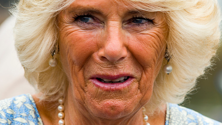 Camilla Parker Bowles speaking