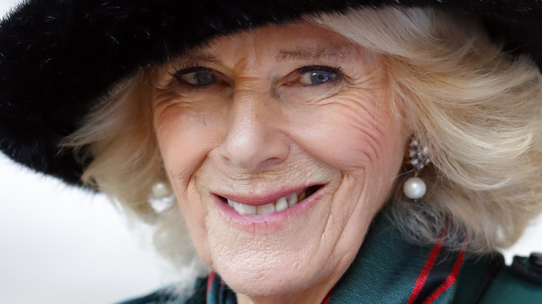 Camilla Parker Bowles at 93rd Field of Remembrance at Westminster Abbey on November 11, 2021