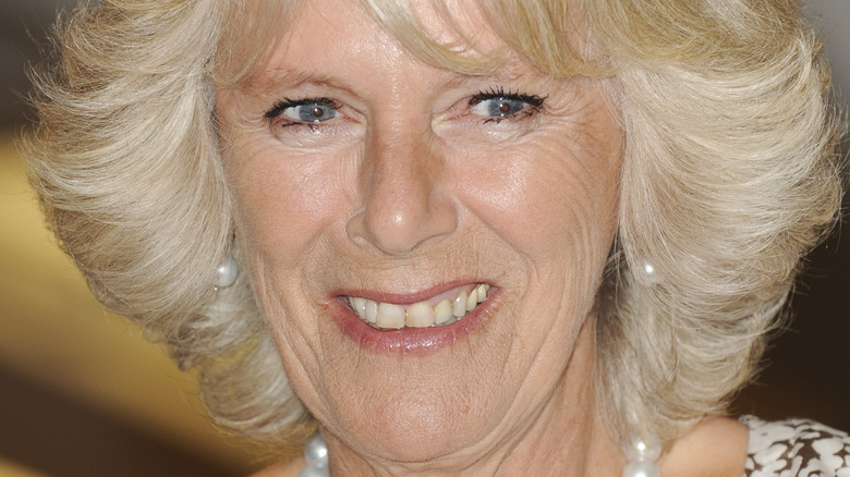 Camilla Parker-Bowles smiling