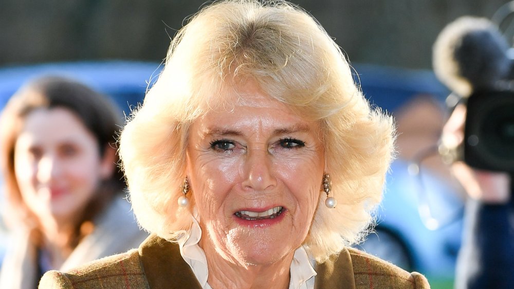 Camilla Parker Bowles