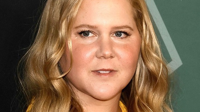 Amy Schumer wavy hair, looking to the side