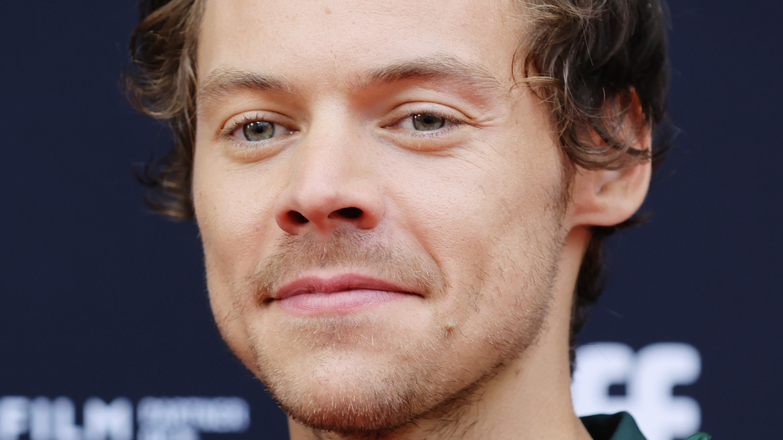 Celebrities Who Can't Stand Harry Styles