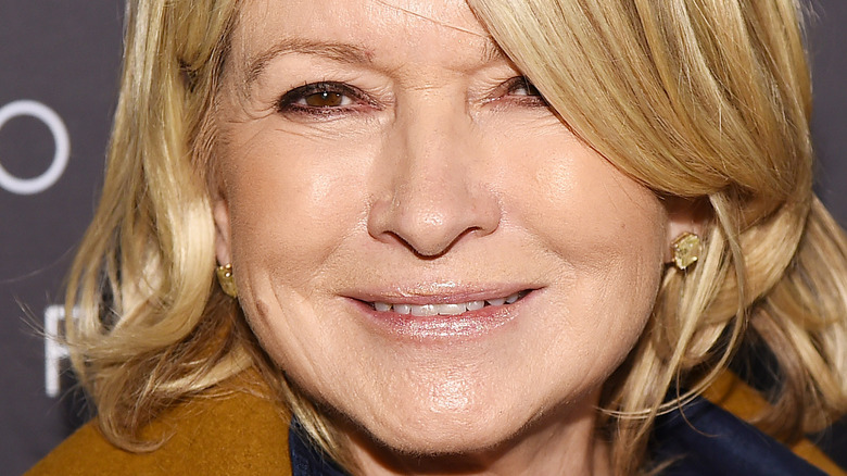 Martha Stewart smiling close-up