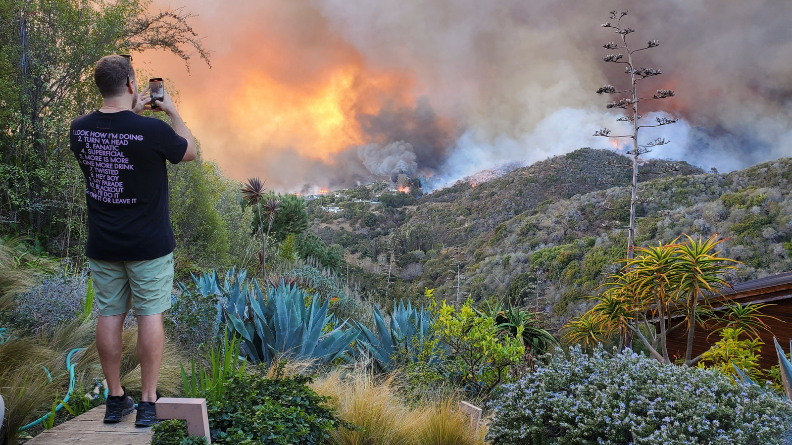 Celebrities Who Have Lost Their Homes In The CA Wildfires