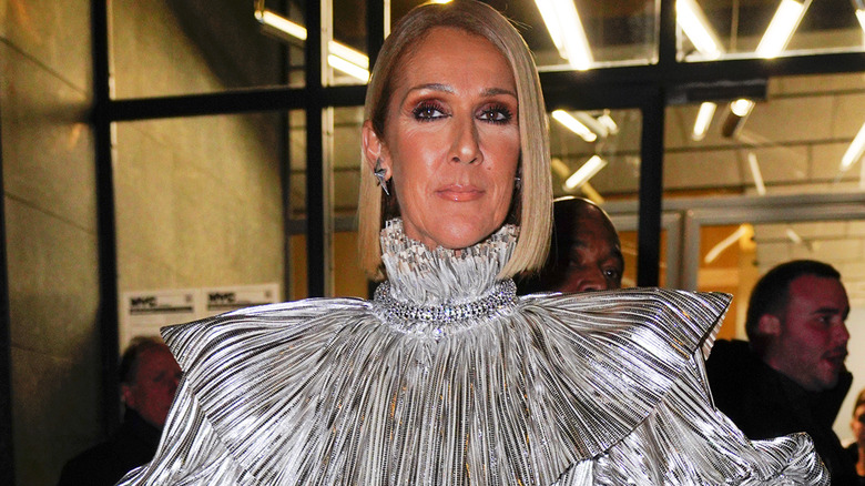 Celine Dion extravagant silver dress at event