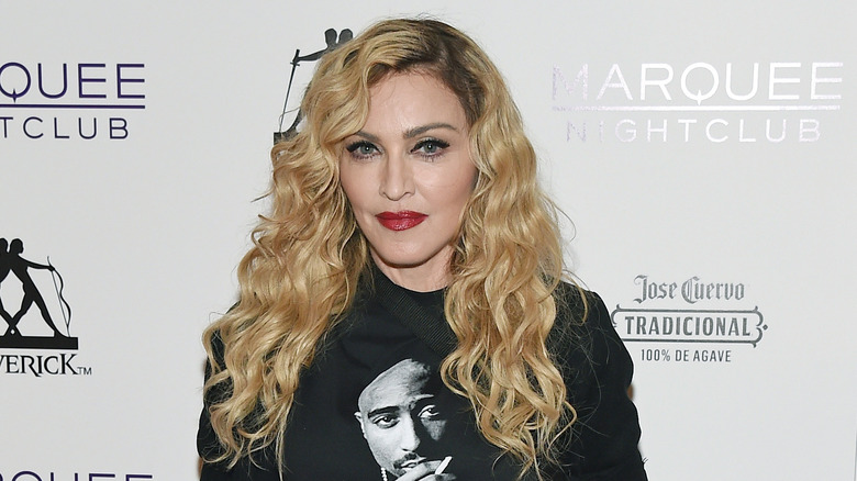Madonna posing