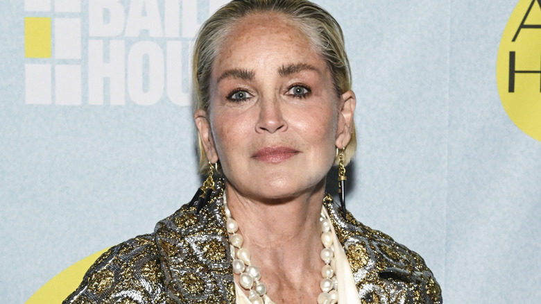 Sharon Stone in New York City in 2023