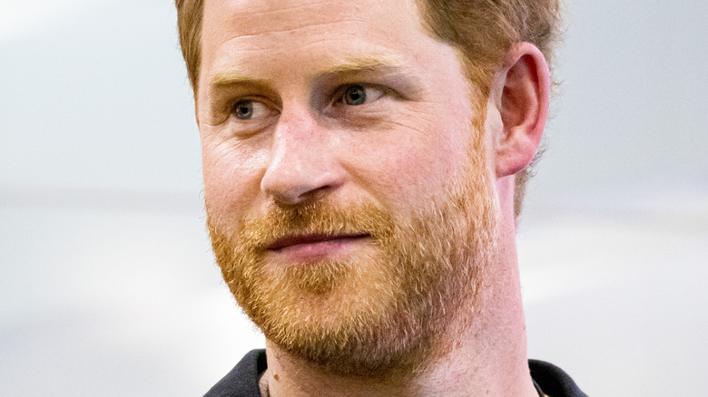 Prince Harry posing