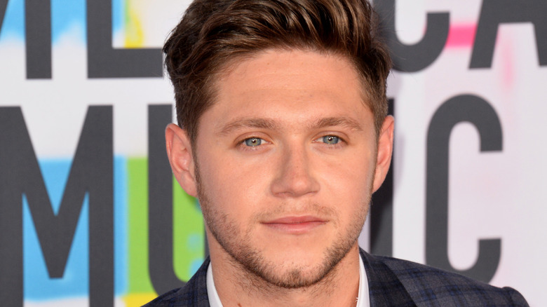 Niall Horan on a red carpet