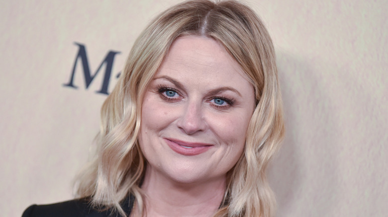 Amy Poehler smiling
