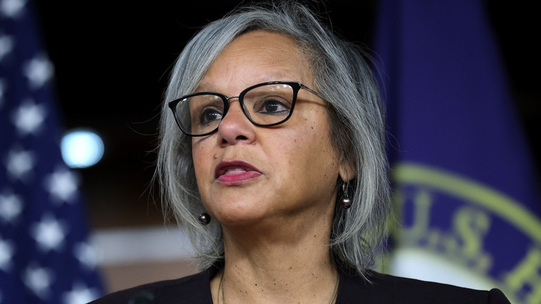 Dr. Robin Kelly speaking at a press conference