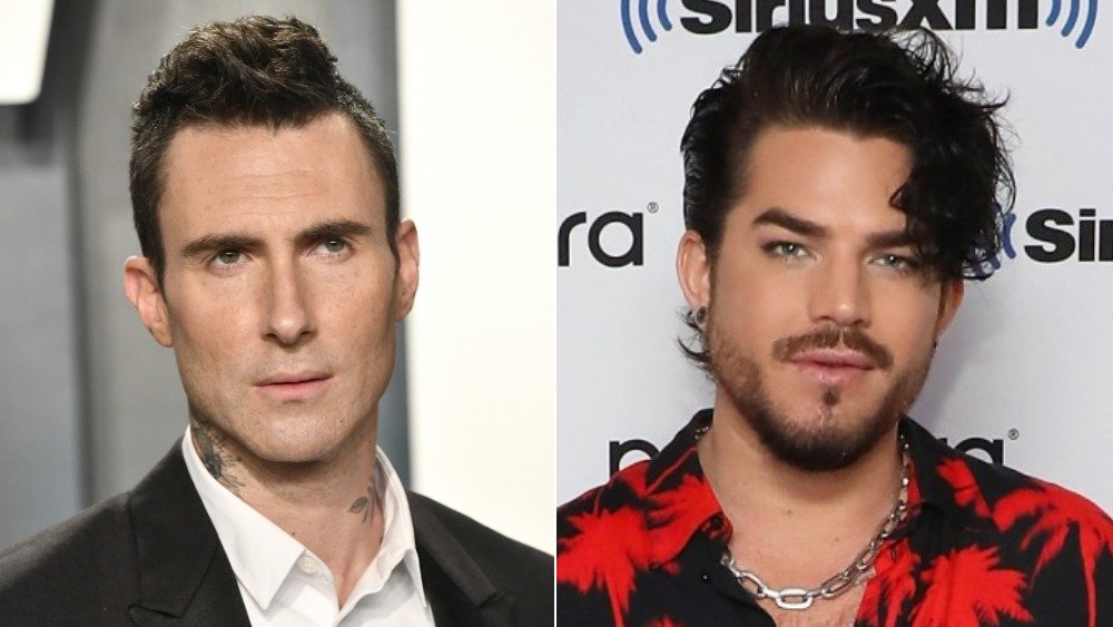 Adam Levine gazing to the right, Adam Lambert in a Hawaiian shirt