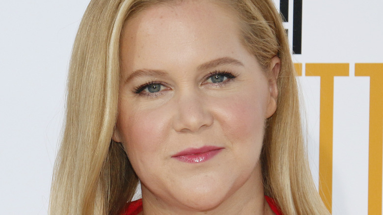 Amy Schumer posing on red carpet