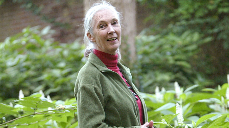 Jane Goodall smiling for photographers.