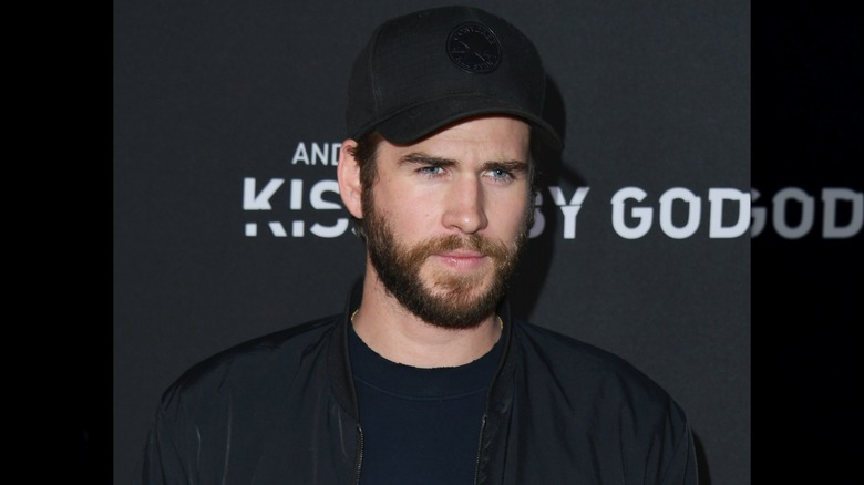Liam Hemsworth posing