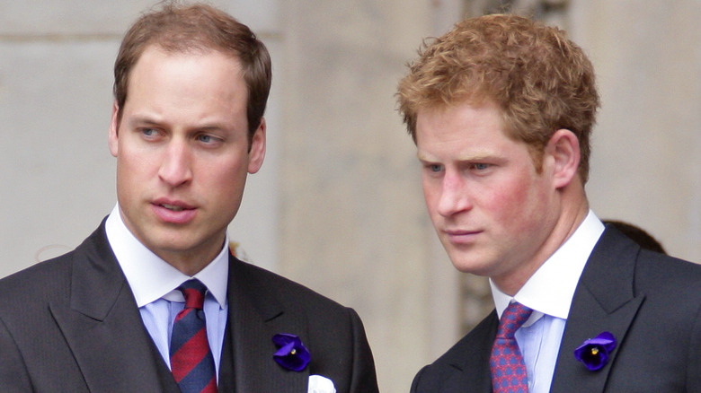 Prince Harry and Prince William looking