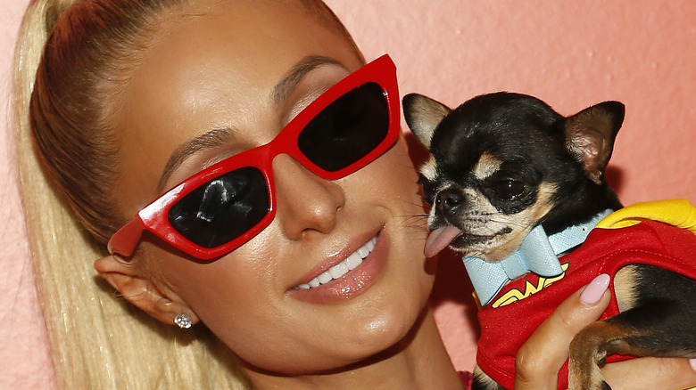 Paris Hilton holding dog