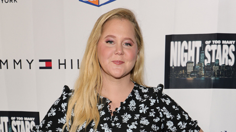 Amy Schumer poses in 2025