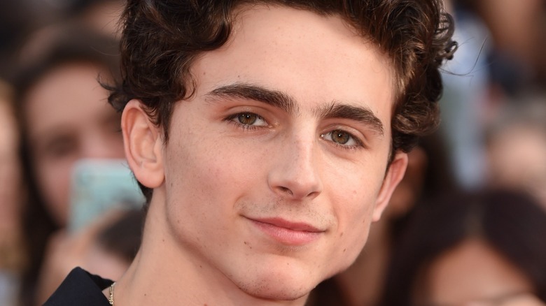 Timothée Chalamet smiling