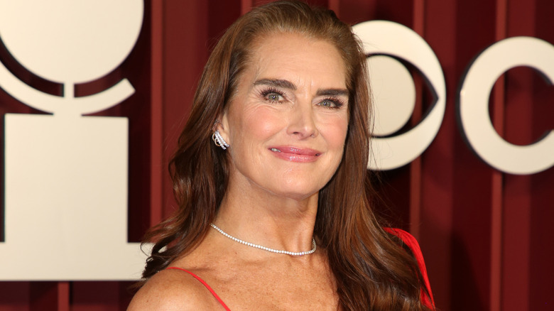 Brooke Shields smiling in a red dress on the red carpet