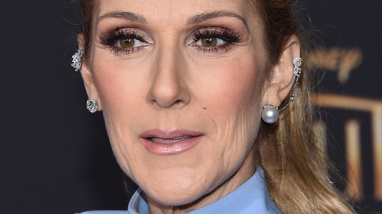 Celine Dion on the red carpet