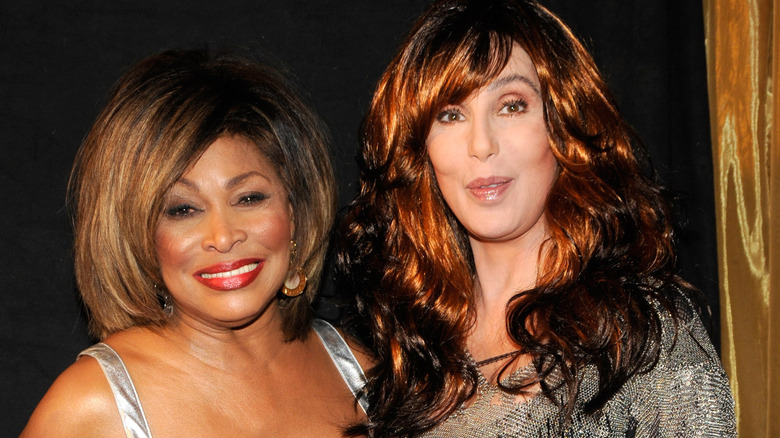 Cher and Tina Turner smiling 