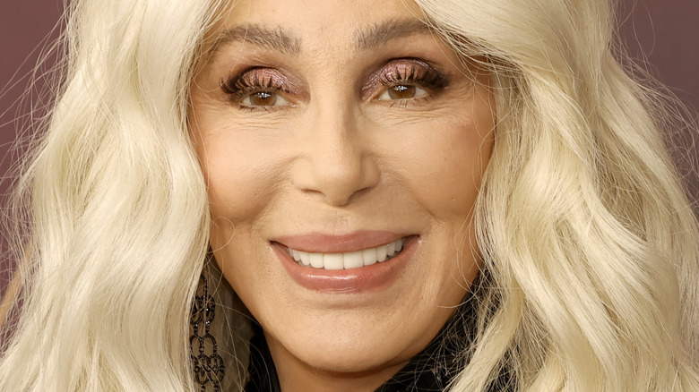 Cher with blonde hair older