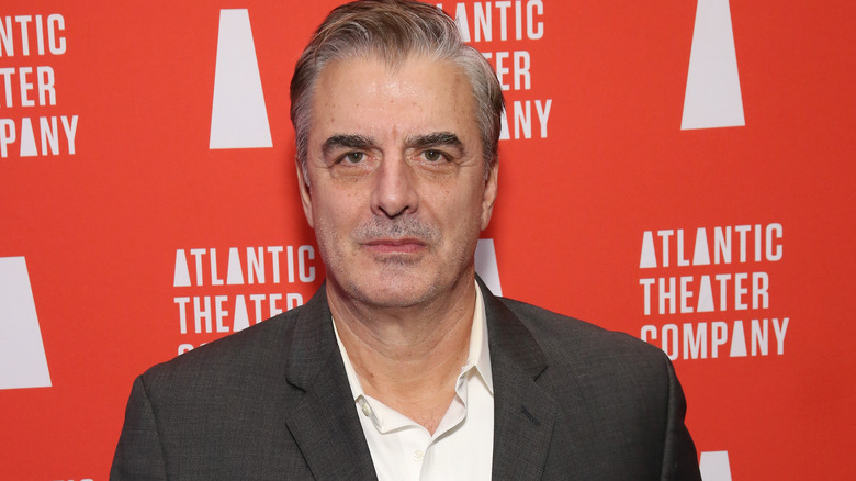 Chris Noth in grey suit, posing