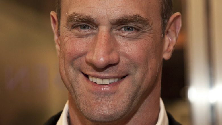 Christopher Meloni smiling