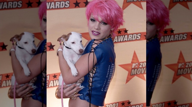Singer Pink with her dog
