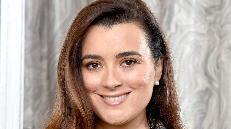 Cote de Pablo smiles at an event
